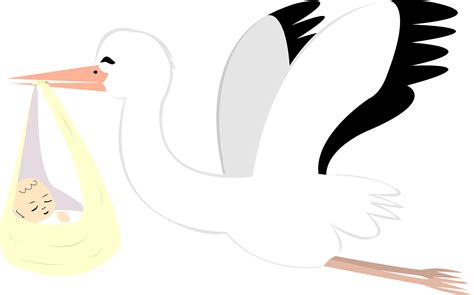 Baby And Stork Clip Art Library