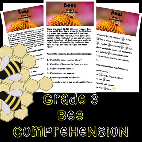 Bee Comprehension Grade 3 Teacha