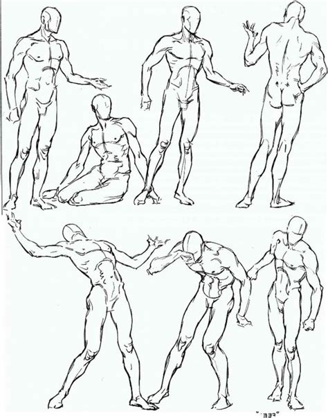 Image Result For Mens Figure Correct Proportions Figure Drawing