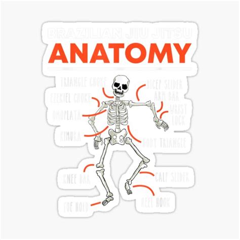 Brazilian Jiu Jitsu Anatomy Skeleton Funny Mix Martial Arts Sticker For Sale By Rosa Shop