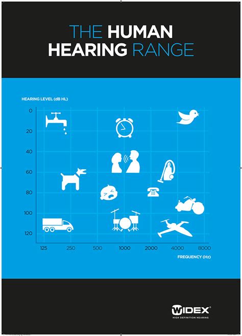 The Human Hearing Range Infographic Infographics