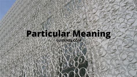 Particular Meaning Guidense