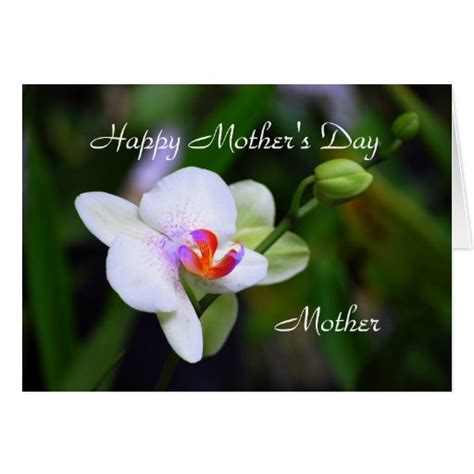 Happy Mothers Day Mother Phalaenopsis Orchid Card Zazzle