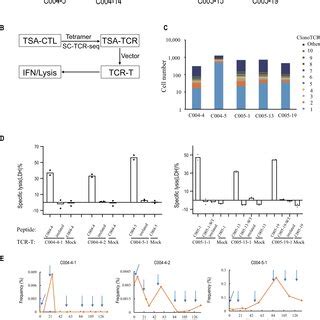 Neoantigen Specific T Cells In Patient C And C A Neo T Cells From
