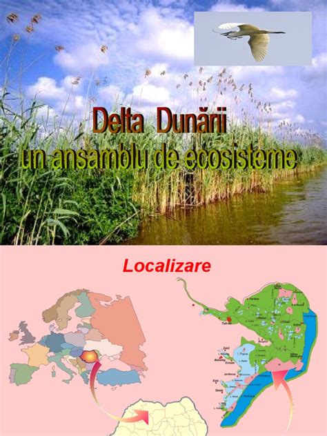 Delta Dunarii Pdf