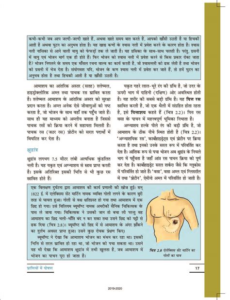 Ncert Book Class 7 Science Chapter 2 Nutrition In Animals प्राणियों