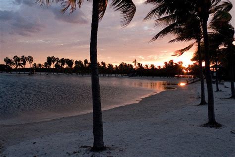 Matheson Hammock Park Miami Attractions Review 10best Experts And