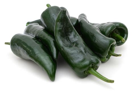 Poblano Chili Peppers Chile Called Capsicum Annuum Dr Marc Micozzi