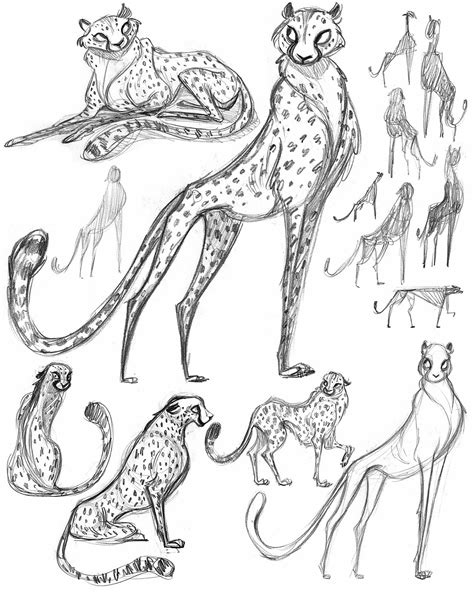If you want to draw realistically i think the best way to do this is to use references to actual animals CaChaVa: You Cheetah! | Concept art drawing, Animal ...