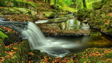 Waterfall In Rocky Autumn Forest Hd Wallpaper Background Image
