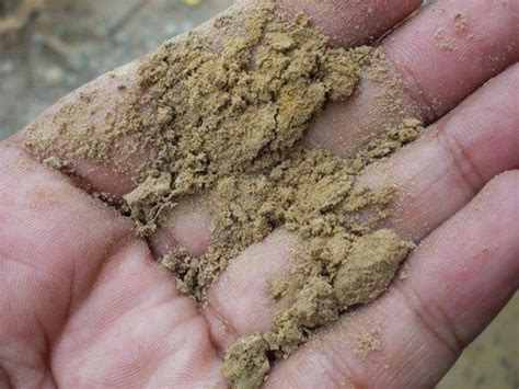 Teror pocong di hutan jati, dan keterkaitannya dengan seratus hari meninggalnya sang suami. Ciri dan Jenis-Jenis Tanah di Indonesia