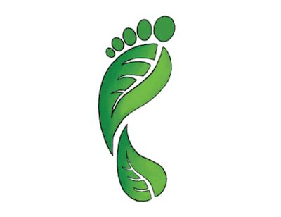 Carbon Footprint Quiz | Carbon footprint, Footprint, Carbon