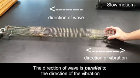 Longitudinal Wave Using Slinky Coil Youtube