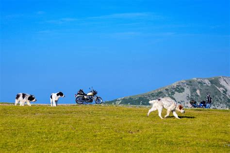 Transalpine gaul , latin gallia transalpina , in roman antiquity, the land bounded by the alps, the mediterranean, the pyrenees, the atlantic, and the rhine. BILDER: Panoramastraße Transalpina, Rumänien | Franks ...