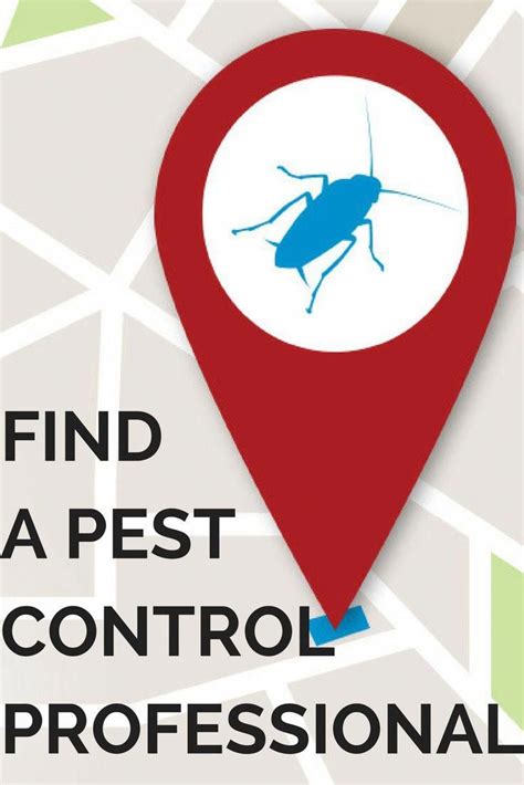 Read more came was super professional, courteous and efficient. Local Pest Control Company Near Me | Pest Control