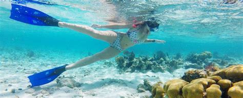 Both fringing and barrier reef structures are present in the barrier reef itself. Best Places and Things to do in Caribbean - Gets Ready