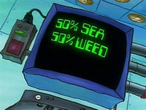 Seaweed 50 Sea 50 Weed Spongebob