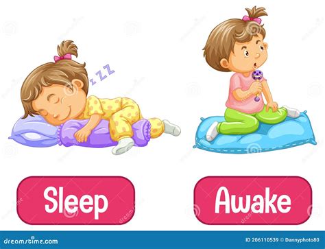 Opposite Words With Awake And Sleep Stock Vector Illustration Of