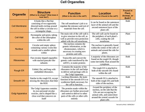M3l1 Cell Organelles Chart Cell Organelles Organelle Structure What