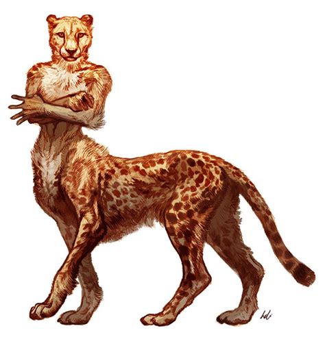 Cheetah Taur By Ononheli On DeviantART Character Art Furry Art Creature Art