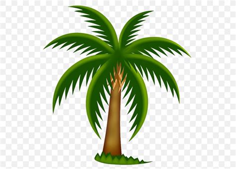 Palm Trees Date Palm Clip Art PNG 538x587px Arecaceae Arecales Art