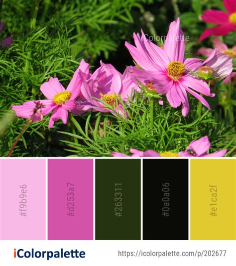 34 Cosmos Color Palette Ideas In 2023 Icolorpalette