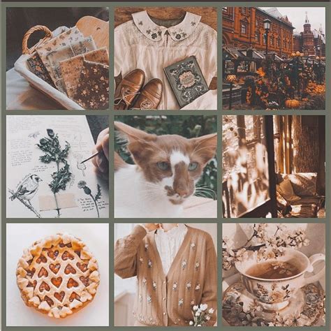 Brown Moodboard Cat Mood Board Design Adopt Idea Mood Board