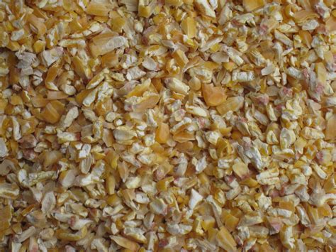 Vente Céréales Sacs Direct Producteurs Aquitaine Agrileyre Cereales