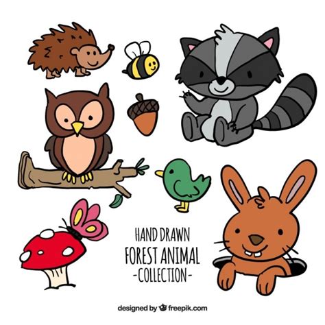 Free Pack Of Hand Drawn Cartoon Forest Animals Nohatcc