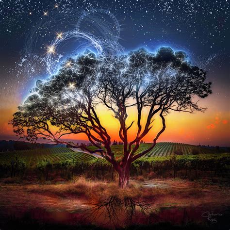 The Magic Tree Digital Art By Catherine King Fine Art America