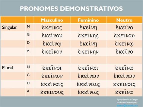 Exemplos De Pronomes Substantivos E Adjetivos Novo Exemplo Kulturaupice