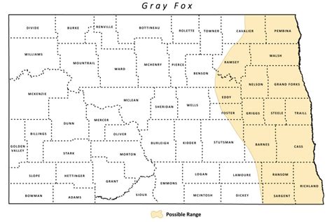 Gray Fox North Dakota Game And Fish