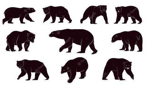 Grizzly Bear Silhouette Vector