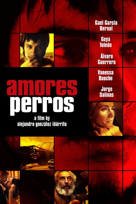 Amores Perros 2000 Películas Completas Cine Perros