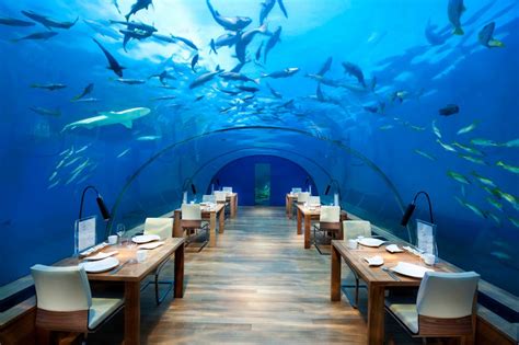 Deluxe Dining These Are The Worlds Most Expensive Restaurants