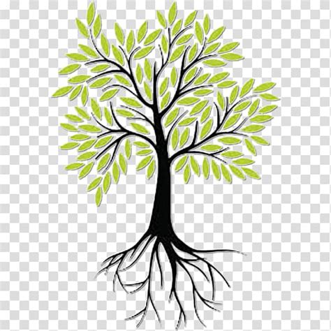 Trivium Classical education movement Classical Christian education