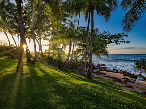 The Ritz Carlton Dorado Beach Reserve Resort Puerto Rico Lawn