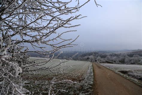Early Morning Frost Frost On The Grass And Trees Stock Image Image