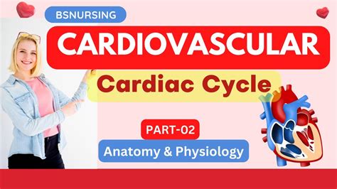 Cardiac Cyclecardiovascular Systemheartanatomyandphysiology