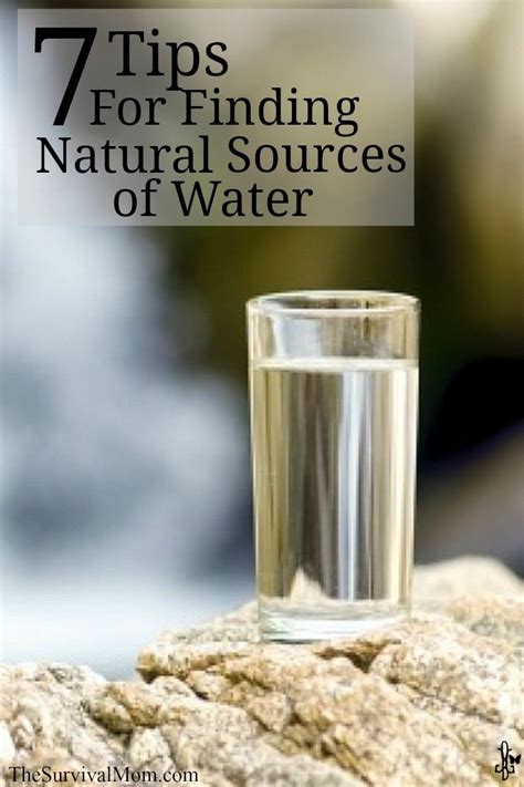 7 Tips For Finding Natural Sources Of Water The Survival Mom