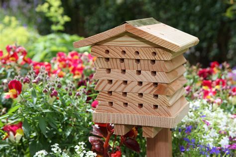 Our Original Design Solitary Beehive Is An Interactive Solitary Bee
