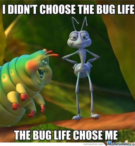 1000 Images About Bug Funnies On Pinterest Roaches The Fly And