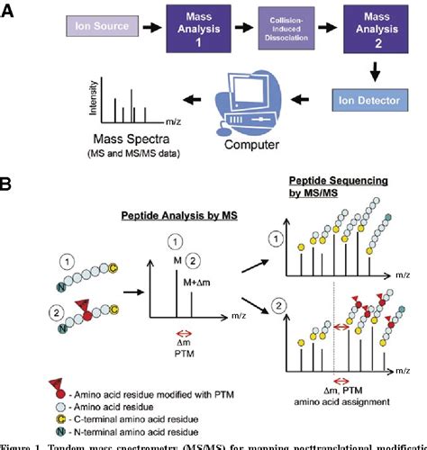 Upon exiting the analytical column the analytes enter the tandem mass spectrometer (ms/ms) which consists of two scanning. Figure 1 from Analysis of posttranslational modifications ...