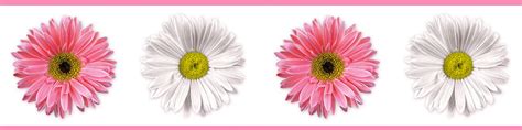 Maybe you would like to learn more about one of these? RoomMates Bordüre selbstklebend Tapeten Borte Flower Power ...