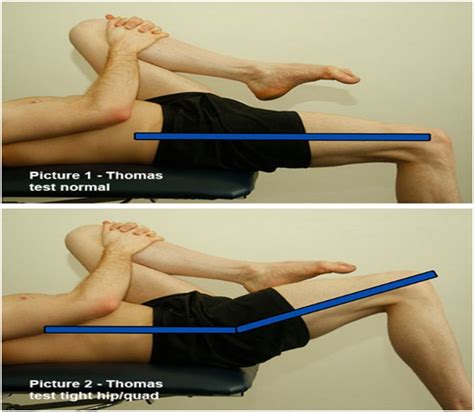 Test Your Muscle Length The Hip Flexors Advanced Health And Physical