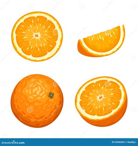 Whole And Sliced Orange Fruits Isolated On White Vector Illustration