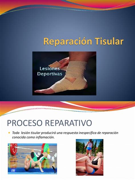 4 Reparación Tisular Inflamación Ciencias De La Salud