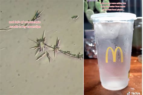 I Was Shocked Seeing Mcdonalds Water Under A Microscope