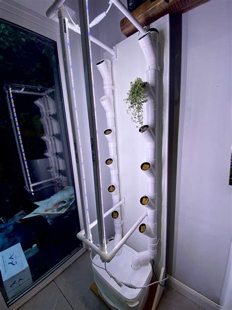 Vertical Tower Garden Hydroponic Grow Kit Indoor Vegetable Etsy