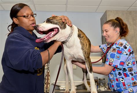 Vet Clinic Provides Care For Barksdales Pets Barksdale Air Force